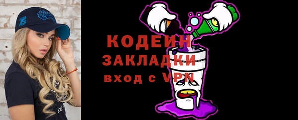 индика Горно-Алтайск