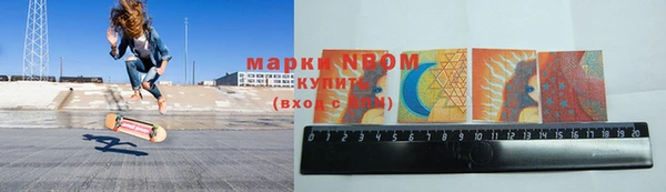 индика Горно-Алтайск