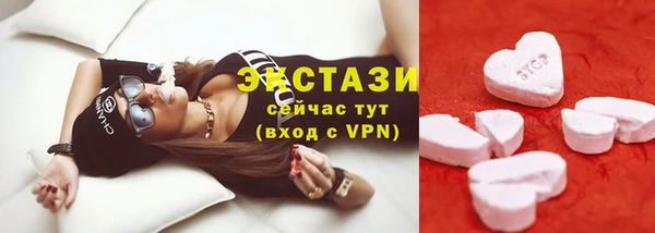 индика Горно-Алтайск