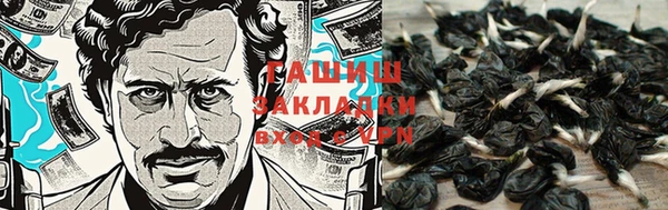 индика Горно-Алтайск