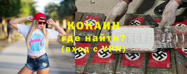 индика Горно-Алтайск