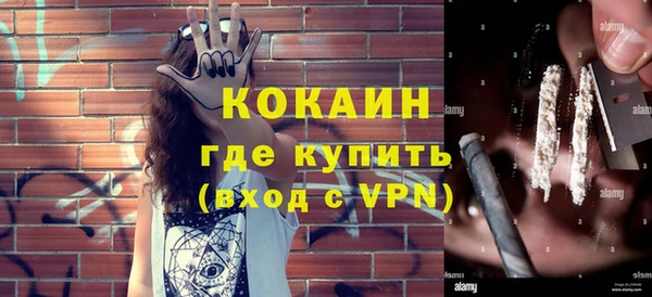 индика Горно-Алтайск