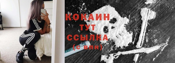 индика Горно-Алтайск
