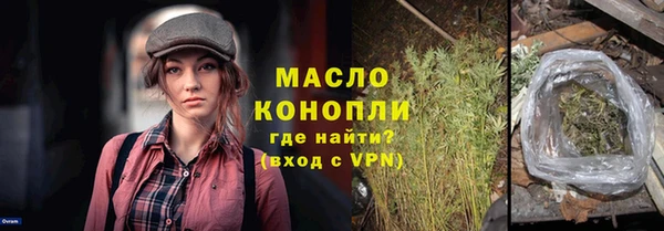 индика Горно-Алтайск
