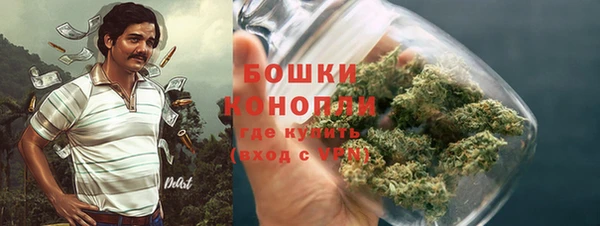трава Горнозаводск