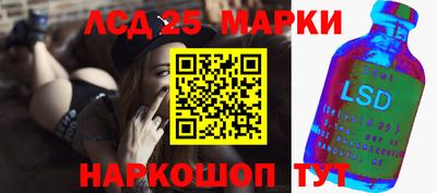 spice Гатчина