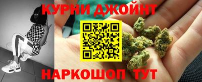 spice Гатчина