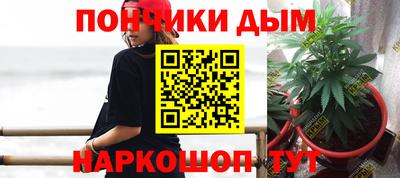 spice Гатчина