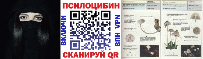 Галлюциногенные грибы ЛСД  Дубна 
