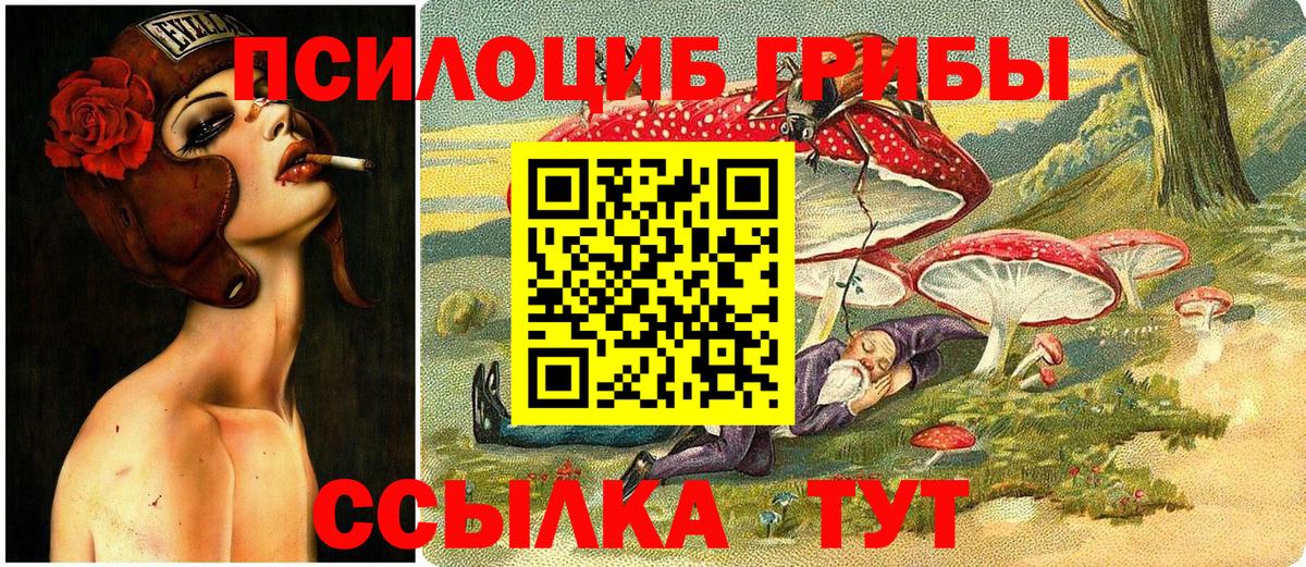 Галлюциногенные грибы мухоморы Дубна