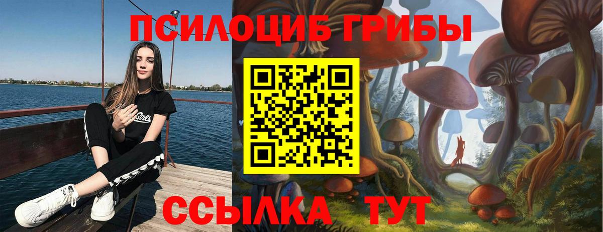 где можно купить наркотик  Псилоцибиновые грибы MAGIC MUSHROOMS  Вход с VPN  Дубна  Галлюциногенные грибы мицелий 